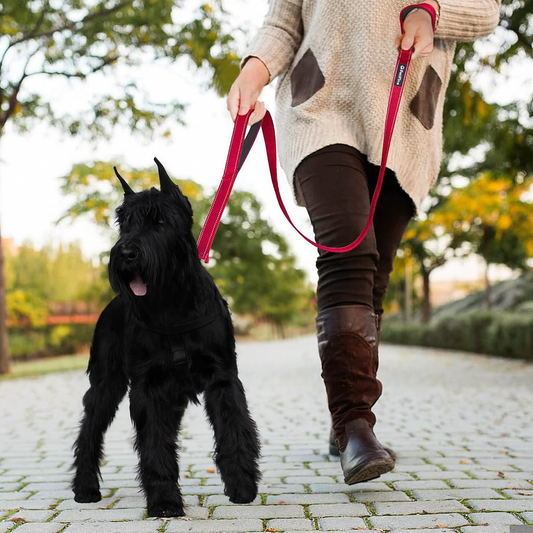 4FT Heavy Duty Dog Leash – Dual Padded Handles, Reflective Safety, Ultra-Durable Control for All Breeds