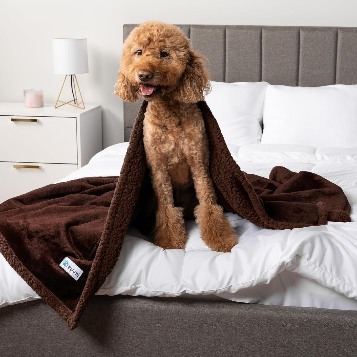 Waterproof Reversible Dog Blanket - Soft Sherpa Fleece Couch Cover for Medium & Large Dogs, Leakproof & Washable, 60x40 Brown