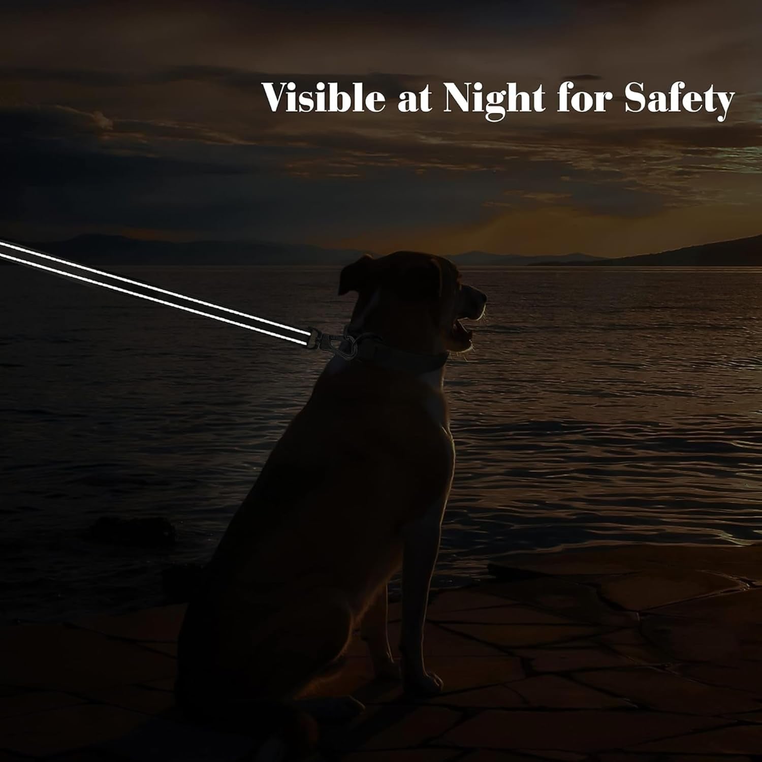 4FT Heavy Duty Dog Leash – Dual Padded Handles, Reflective Safety, Ultra-Durable Control for All Breeds