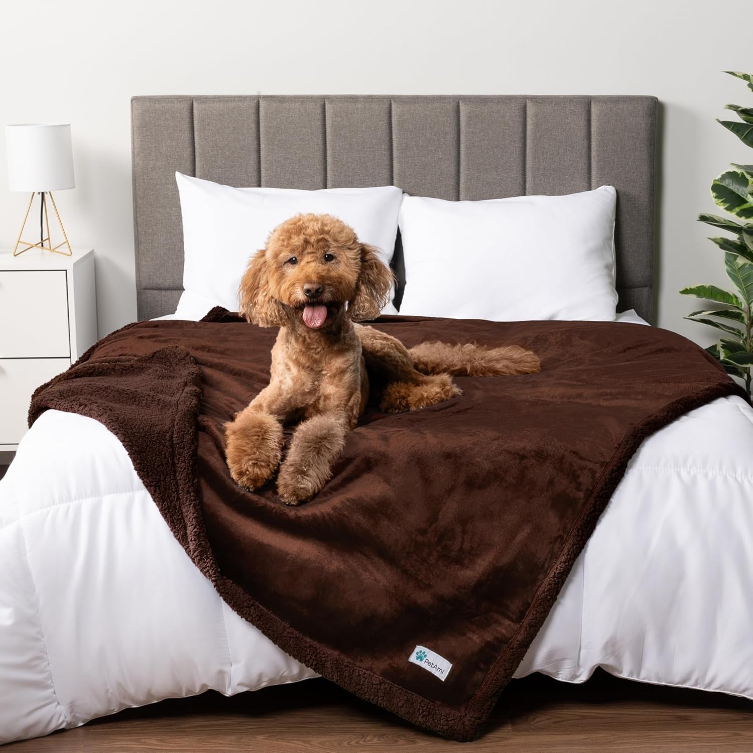 Waterproof Reversible Dog Blanket - Soft Sherpa Fleece Couch Cover for Medium & Large Dogs, Leakproof & Washable, 60x40 Brown