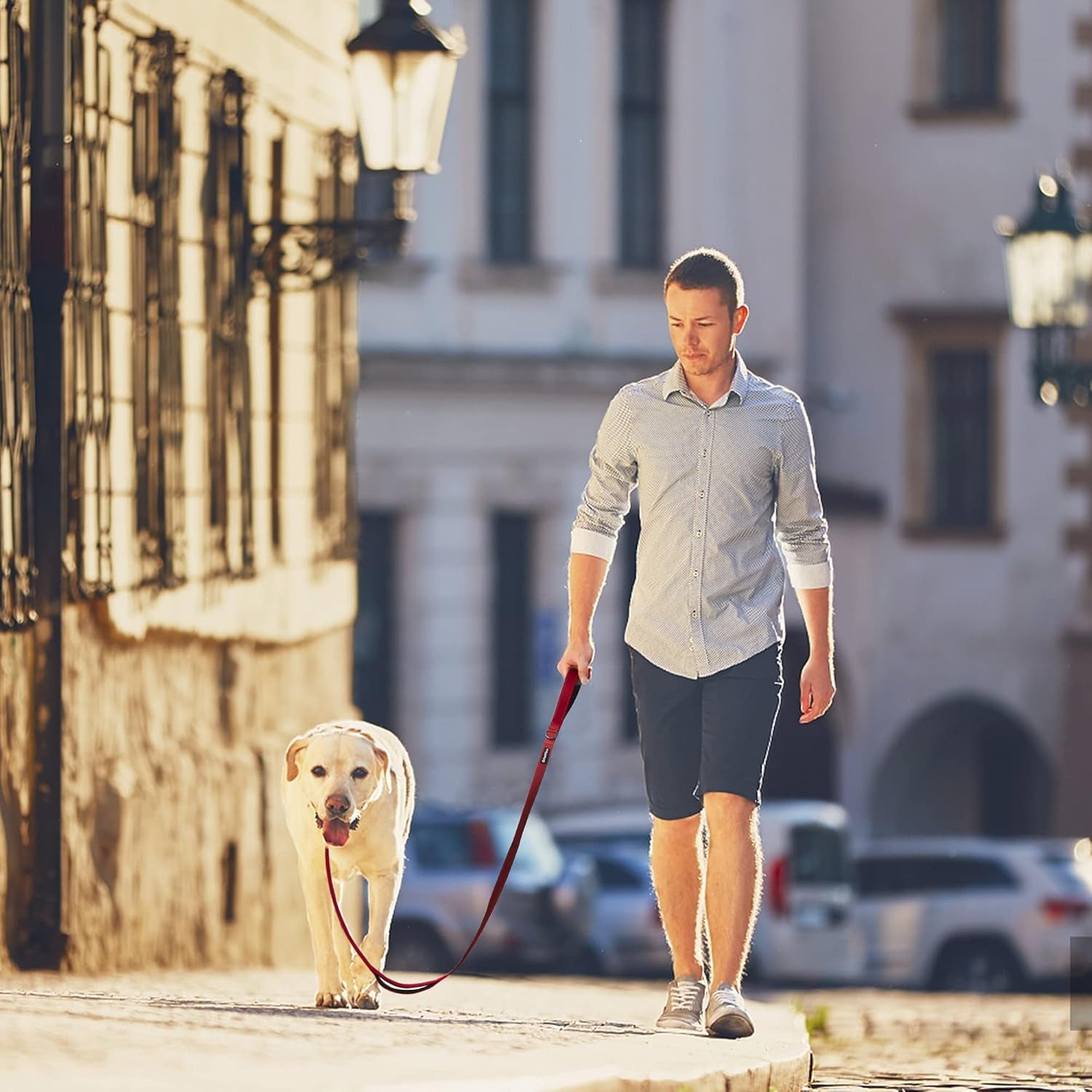 4FT Heavy Duty Dog Leash – Dual Padded Handles, Reflective Safety, Ultra-Durable Control for All Breeds